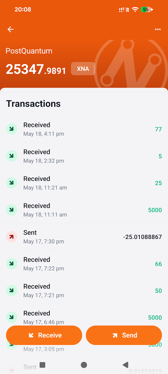NeuraiWallet Transactions